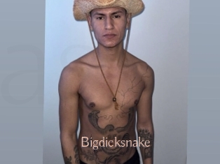 Bigdicksnake
