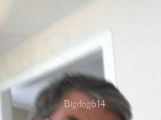 Bigdog614