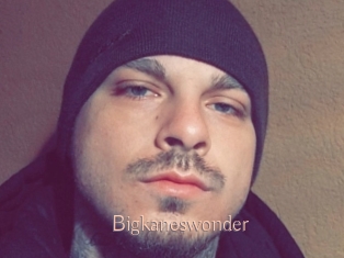 Bigkaneswonder