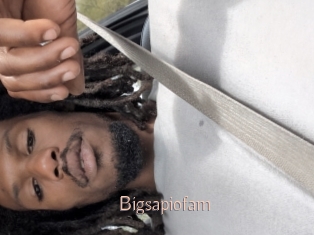 Bigsapiofam