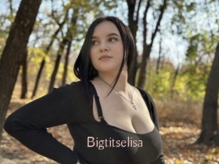 Bigtitselisa