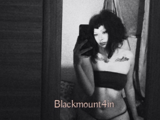 Blackmount4in