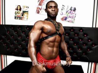 Blackmuscleboy