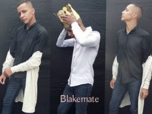 Blakemate