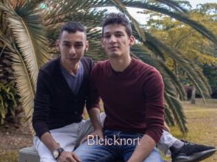 Bleicknort
