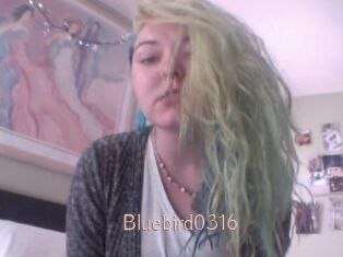 Bluebird0316