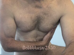 Bobbbluejay2530