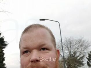 Boedha
