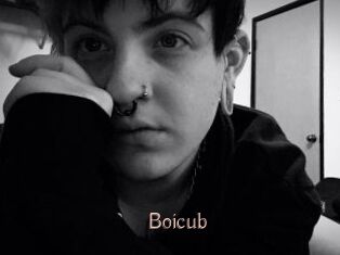 Boicub