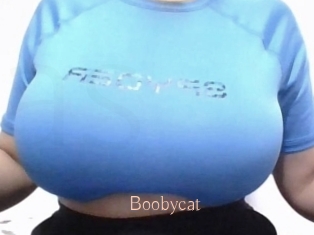 Boobycat