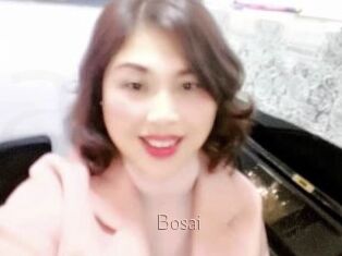 Bosai