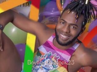 Boyblackbigcock23