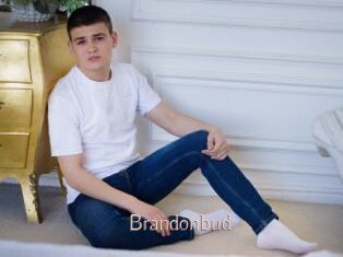 Brandonbud