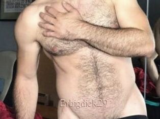 Brbigdick29