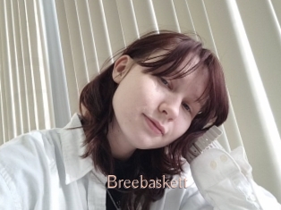 Breebaskett
