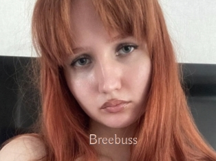 Breebuss