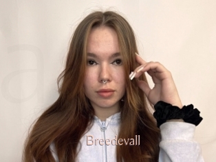 Breedevall
