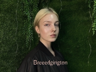 Breeedgington