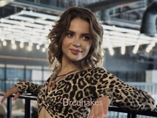 Breehakes