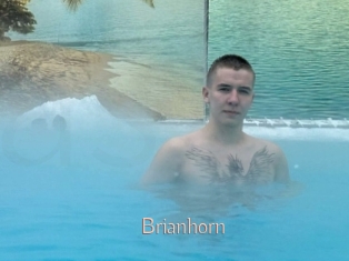 Brianhorn