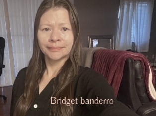 Bridget_banderro