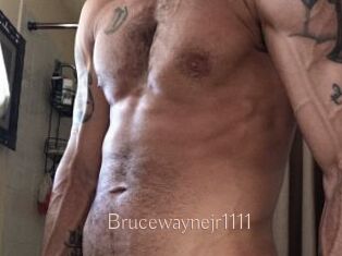 Brucewaynejr1111