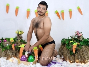 brunosains Anal Sexe