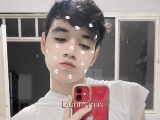 Bunnymaxi
