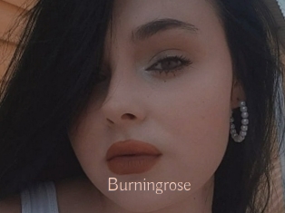Burningrose