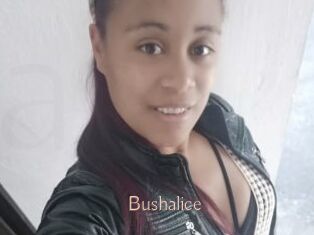 Bushalice