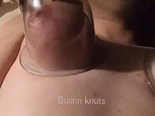Bustin_knuts