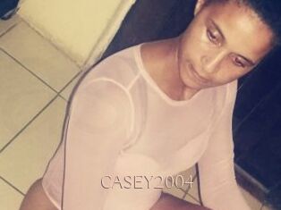 CASEY2004