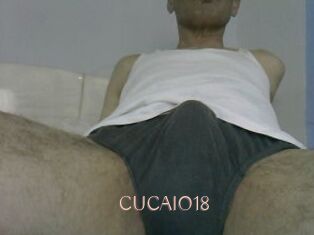CUCAIO18