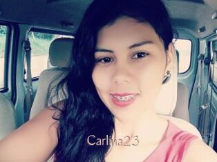 Carlina23