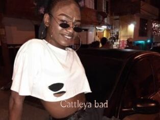 Cattleya_bad