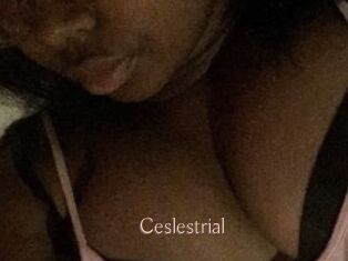 Ceslestrial
