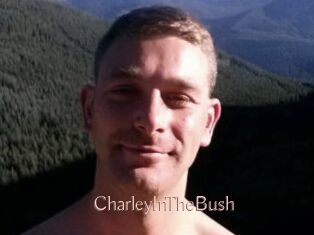 CharleyInTheBush
