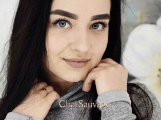 ChatSauvage