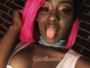 CocoBeanxo