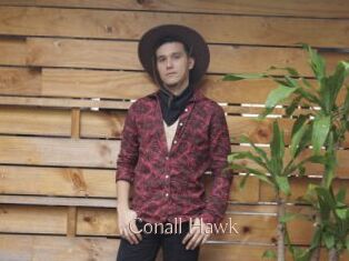 Conall_Hawk