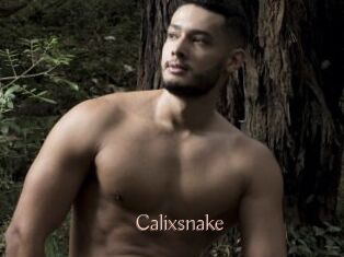 Calixsnake