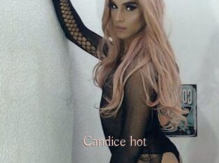 Candice_hot
