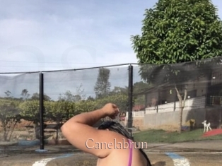 Canelabrun