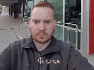 Cangingie