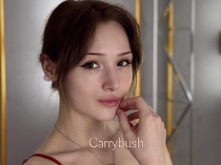 Carrybush