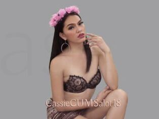 CassieCUMSalot18