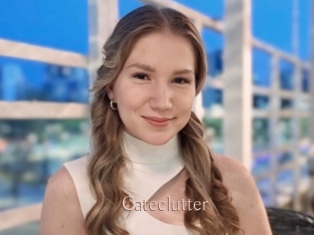 Cateclutter