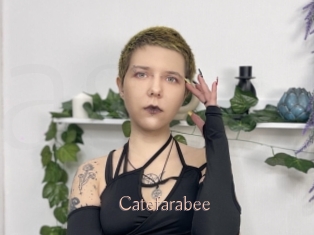 Catefarabee