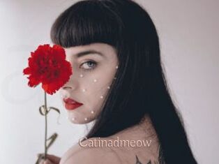 catinadmeow Anal Sexe