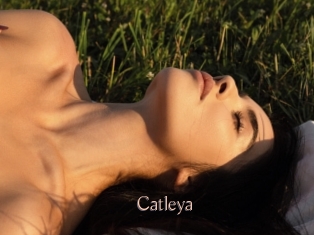 Catleya